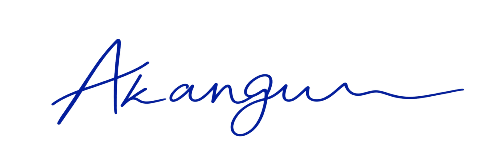 Director signature